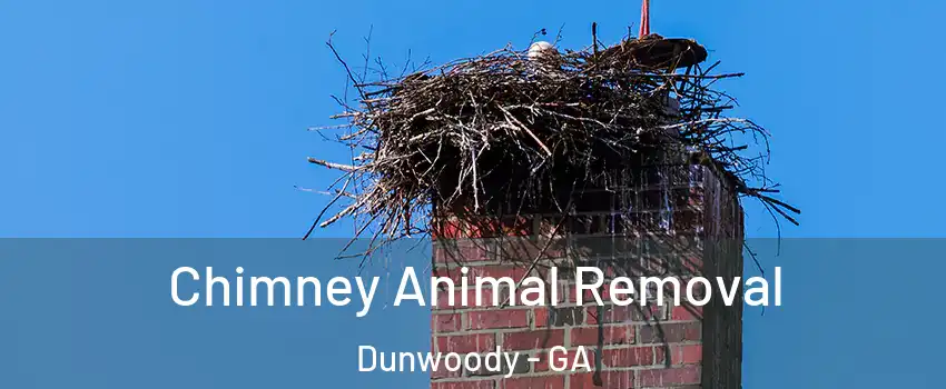  Chimney Animal Removal Dunwoody - GA
