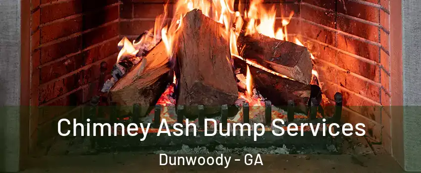 Chimney Ash Dump Services Dunwoody - GA