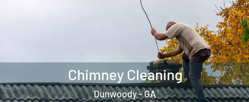  Chimney Cleaning Dunwoody - GA