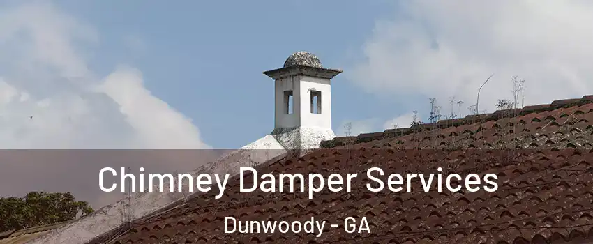  Chimney Damper Services Dunwoody - GA