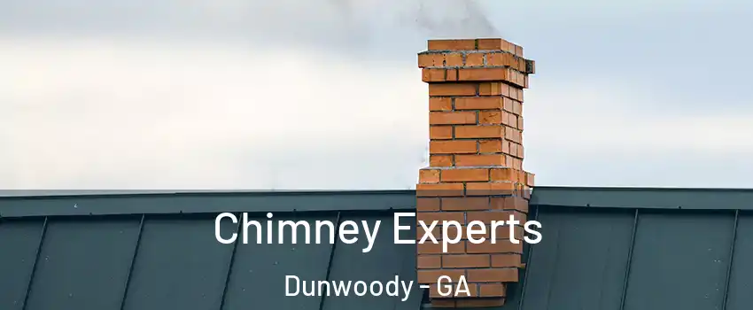 Chimney Experts Dunwoody - GA