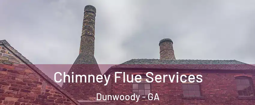  Chimney Flue Services Dunwoody - GA