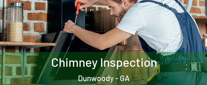  Chimney Inspection Dunwoody - GA