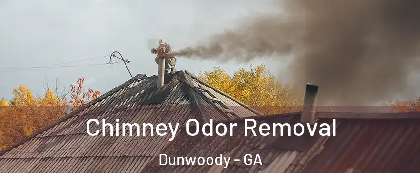  Chimney Odor Removal Dunwoody - GA