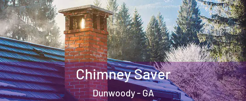  Chimney Saver Dunwoody - GA