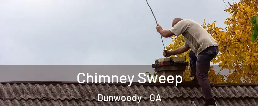  Chimney Sweep Dunwoody - GA