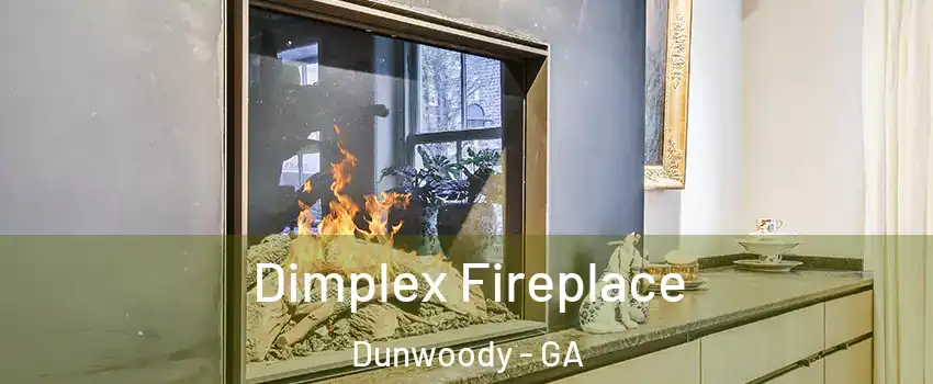  Dimplex Fireplace Dunwoody - GA