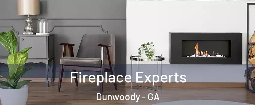  Fireplace Experts Dunwoody - GA