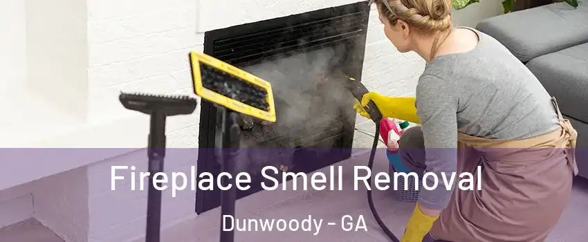  Fireplace Smell Removal Dunwoody - GA