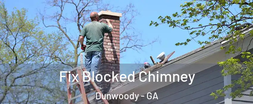  Fix Blocked Chimney Dunwoody - GA