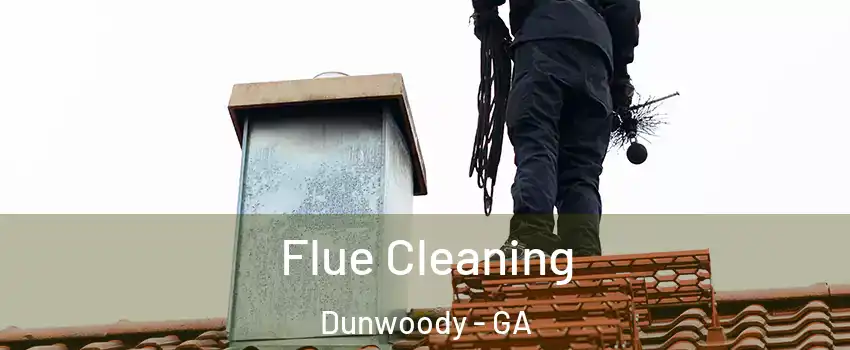  Flue Cleaning Dunwoody - GA