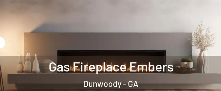  Gas Fireplace Embers Dunwoody - GA
