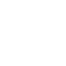 Professional Chimney Flue Installation in Dunwoody, Georgia