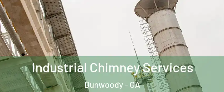  Industrial Chimney Services Dunwoody - GA