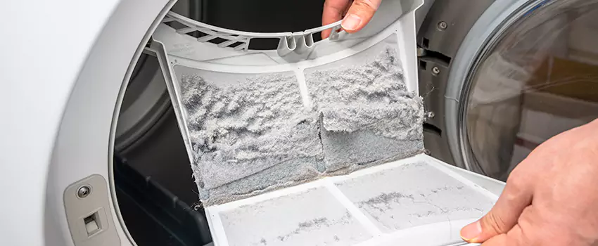 Best Dryer Lint Removal Company in Dunwoody, Georgia