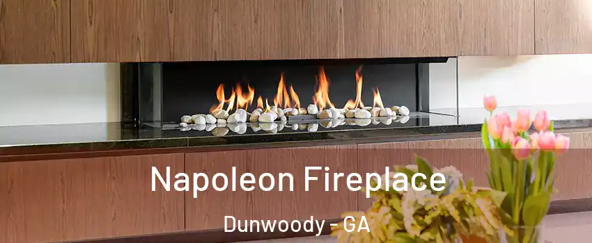  Napoleon Fireplace Dunwoody - GA